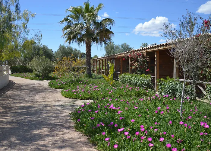 El Rancho Los Montesinos - Torrevieja