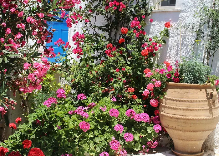 Hotel Mare Monte Chora