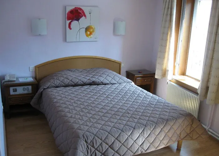 Hotel Cheval De Bronze Remiremont