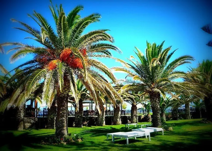 Hotel Minos Mare Royal Platanes 
