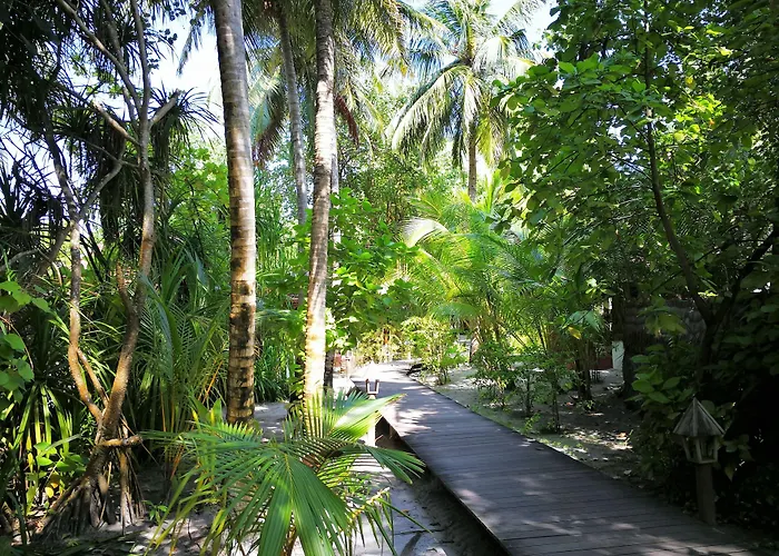 Gangehi Island Resort&Spa