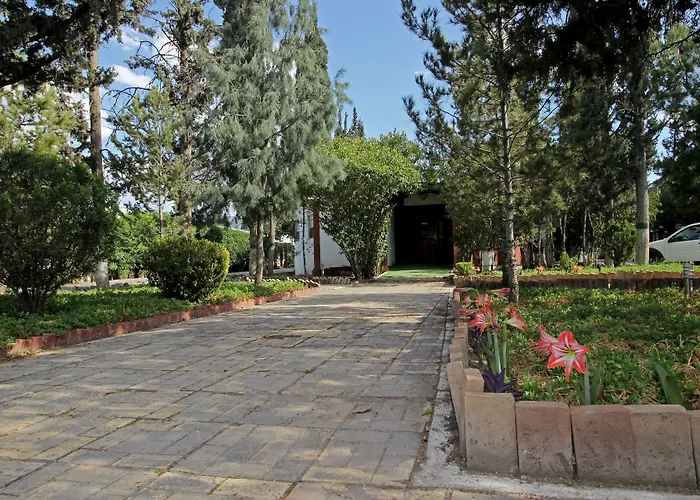 Capital O Hotel La Fuente, Saltillo