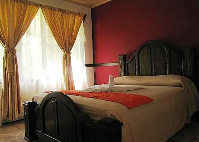 Ara Ambigua Lodge Sarapiquí