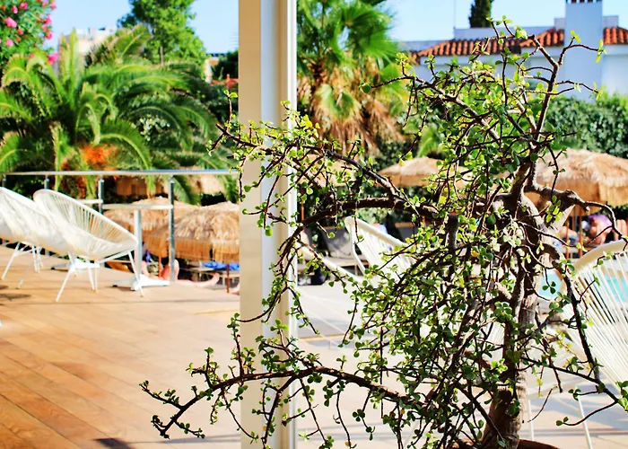 Hotel Vista Odin Playa de Palma 