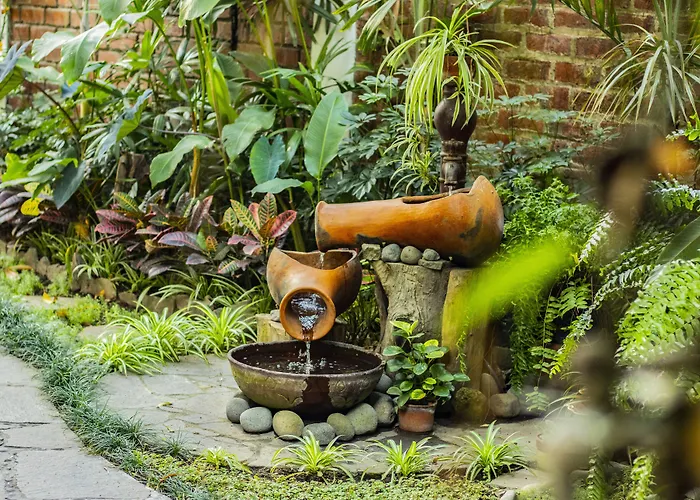 Arbol De Fuego Eco-Hotel San Salvador