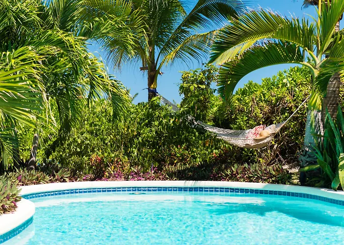Oasis At