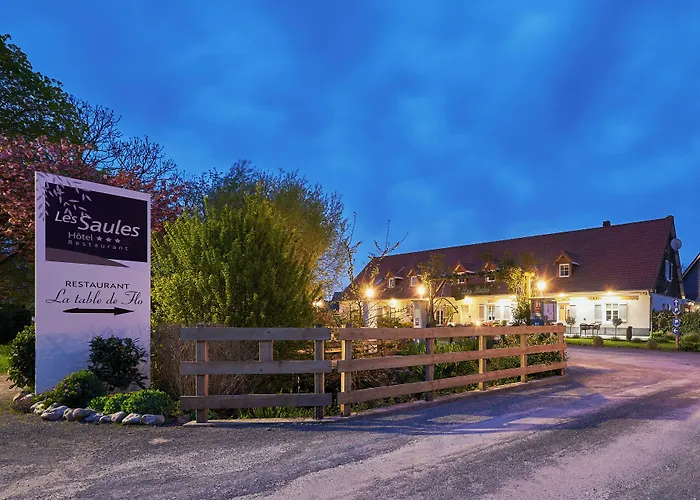Hotel Spa Les Saules