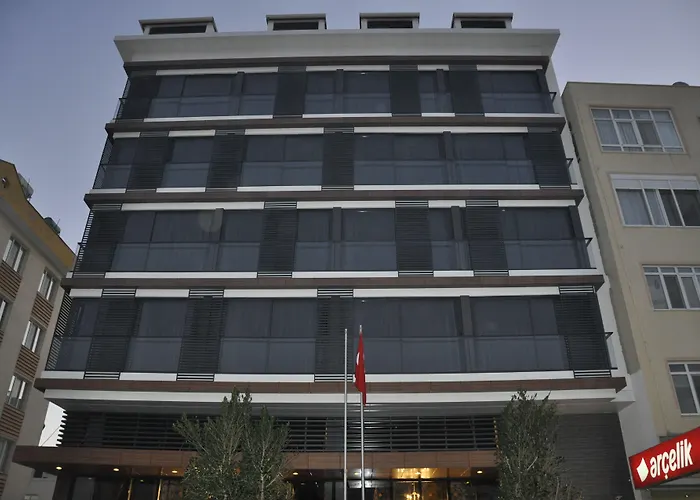 Ozyigit