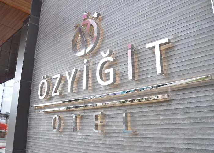 Ozyigit