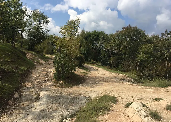 Seeblick Mühbrook