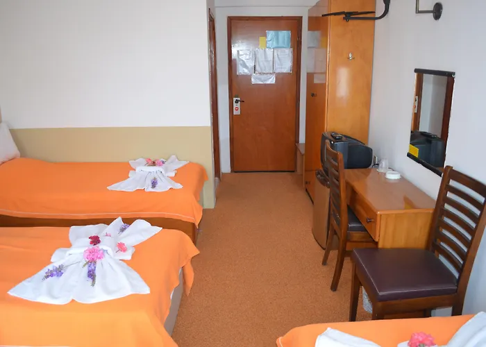 Megas Hotel Ayvalı