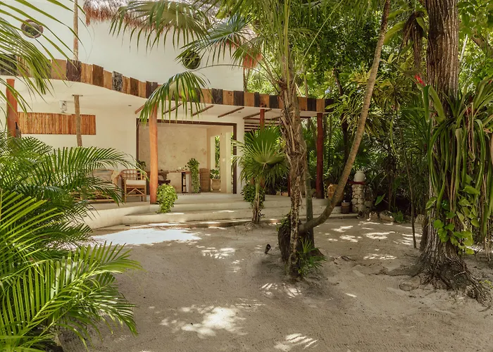 Dos Ceibas Tulum - Feel Good