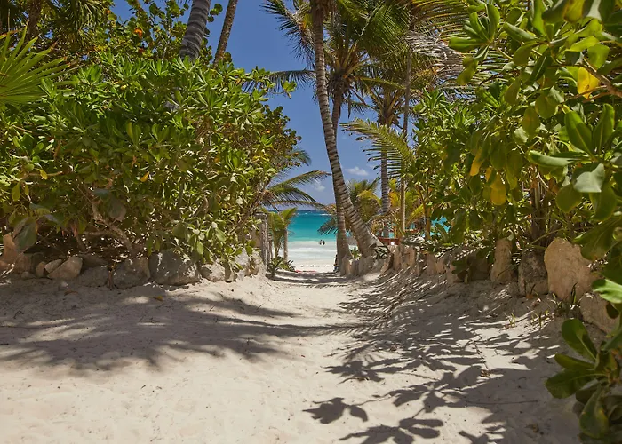 Dos Ceibas Tulum - Feel Good