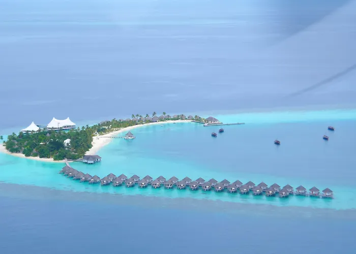 Safari Island