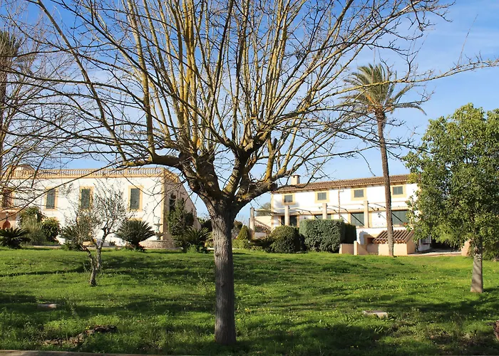 Finca Son Manera Montuïri