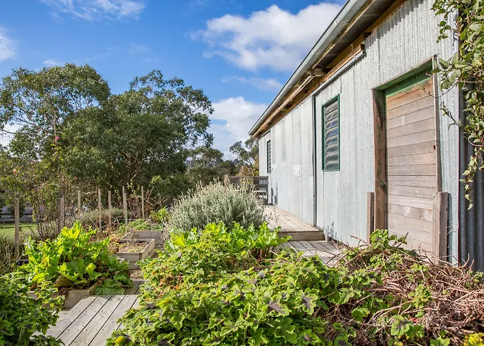 Haven Red Hill