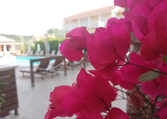 The Mathraki Studios (Adults Only) Arillas 