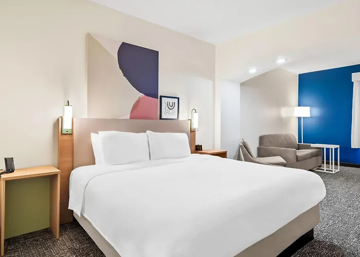 Spark By Hilton Kingsland