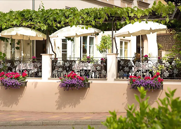 Hotel Zwei Mohren