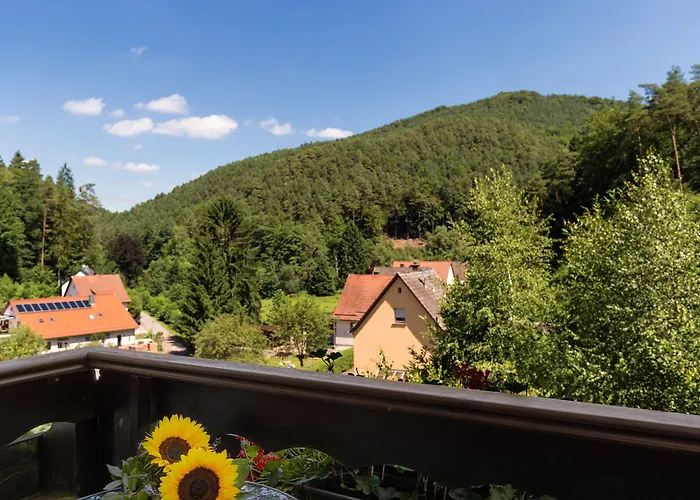 Hotel Die Kleine Blume Erfweiler