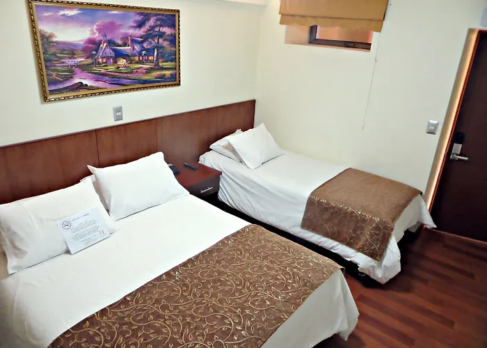 Hotel Newen