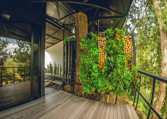 Mumu By Bernalo Hotels