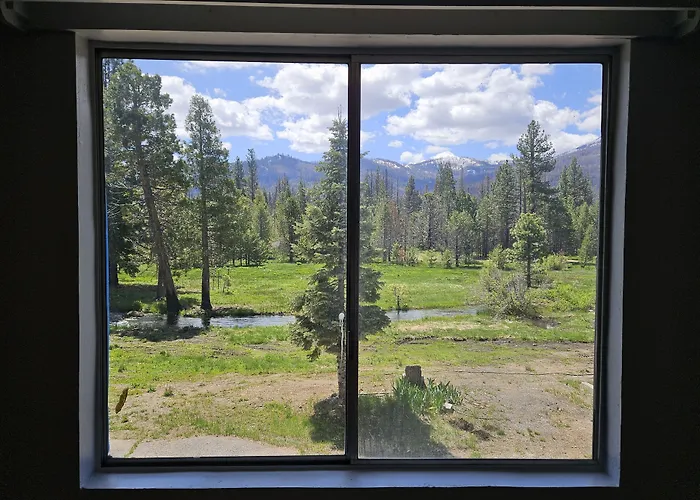The Black Forest Lodge