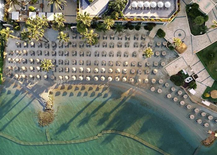 Tui Magic Life Bodrum - Adults Only