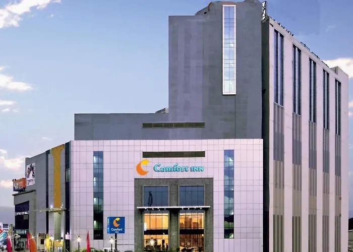 Comfort Inn Tulip Heights