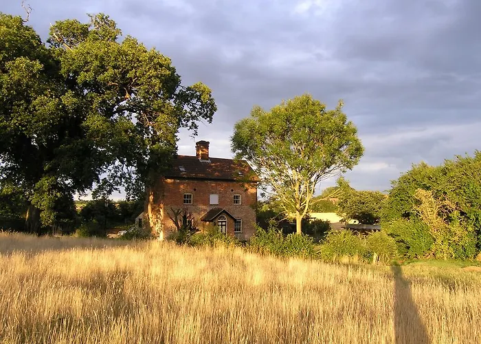 Oak Tree Farm