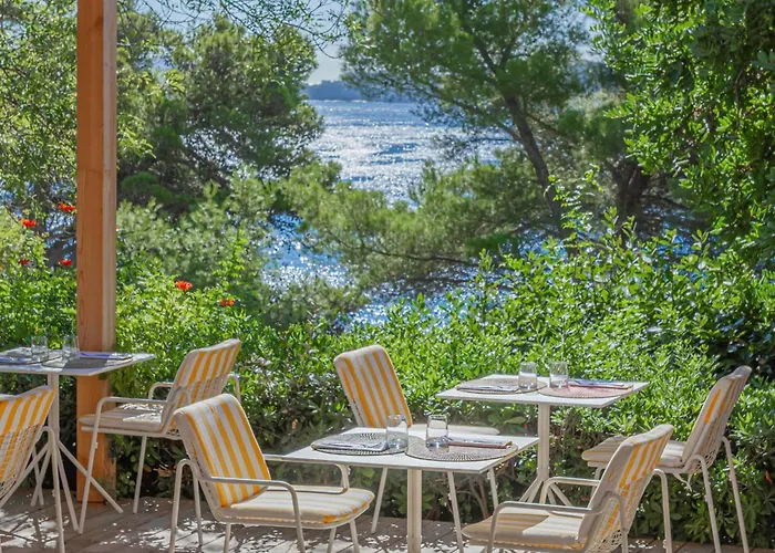 Hotel Le Provencal - Renove En 2025 - Bord De Mer Hyères