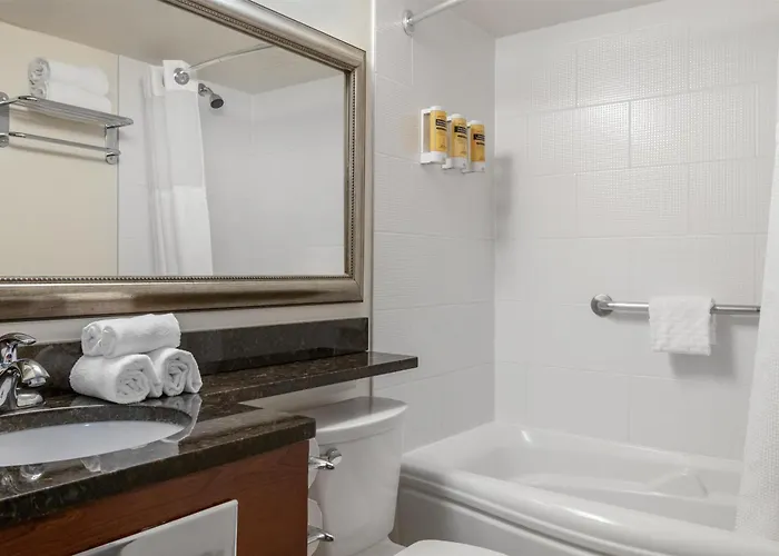 Best Western Plus Chocolate Lake Hotel - Halifax