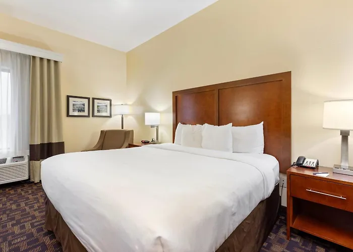 Comfort Inn & Suites North Aurora - Naperville