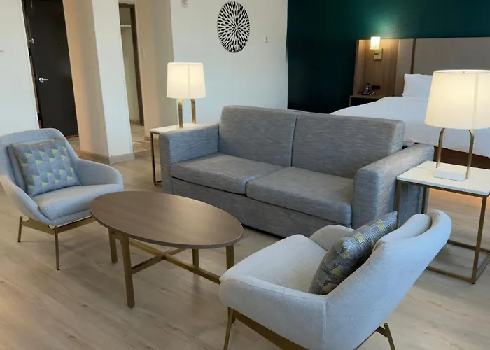 Holiday Inn S - Nrg Area - Med Ctr By Ihg