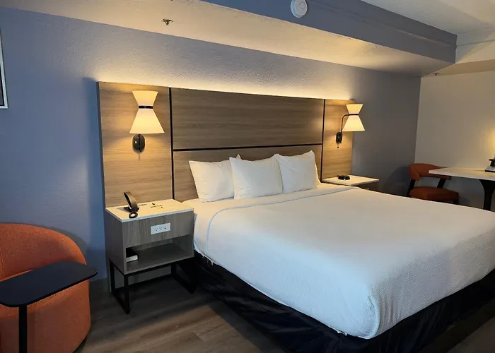 La Quinta By Wyndham Pinellas Park St Peterburg Clearwater