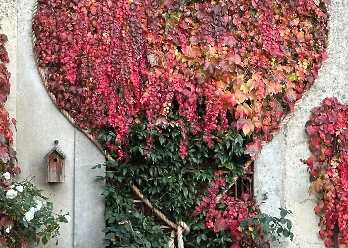 Logis Saint-Flaceau