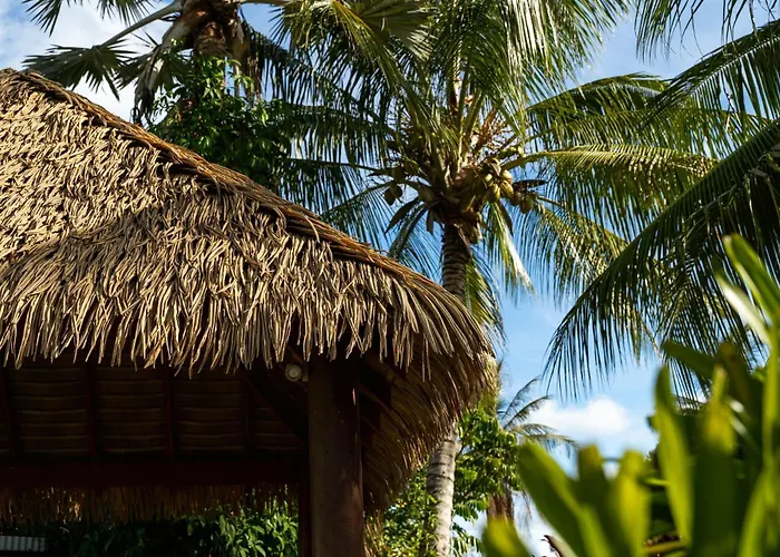 Big4 Tasman Holiday Parks - South Mission Beach