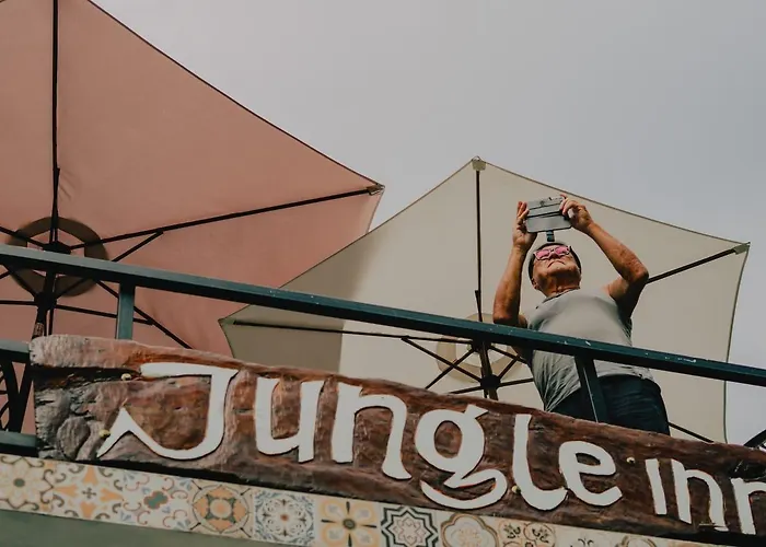 Jungle Inn