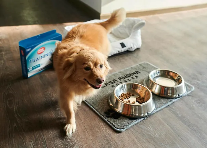 Casa Andina Select Paracas