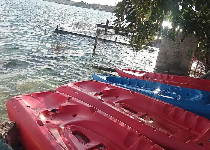 My Love Front Laguna