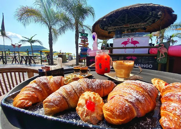 Flamingo Suites