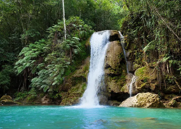 Wyndham Alltra Samana All Inclusive Resort