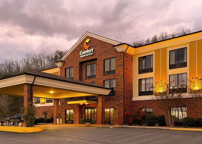Comfort Inn & Suites Rogersville