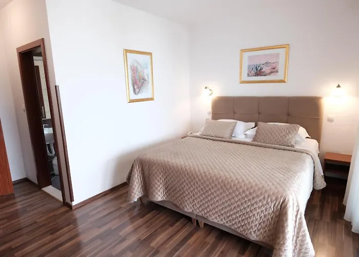 Hotel Vila Tina Arbanija