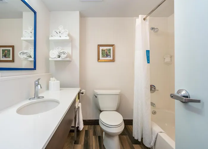 Hampton Inn & Suites - West
