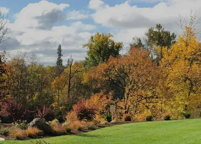 Lodge At Roseburg