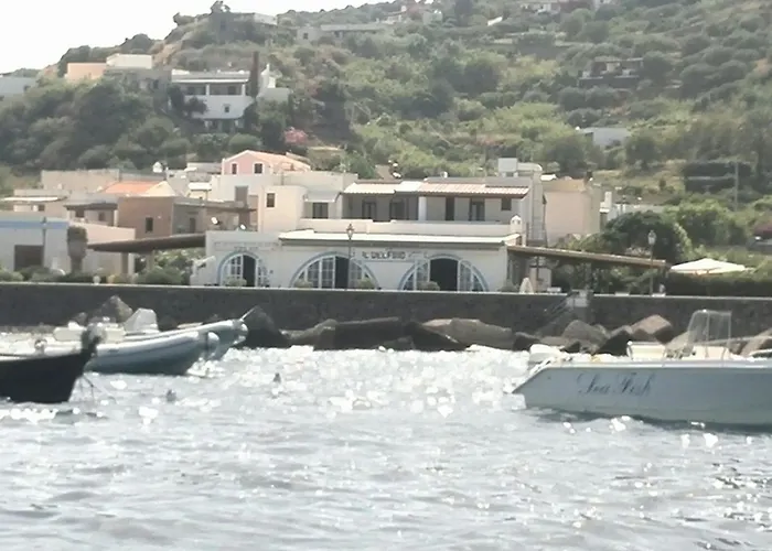 Il Delfino