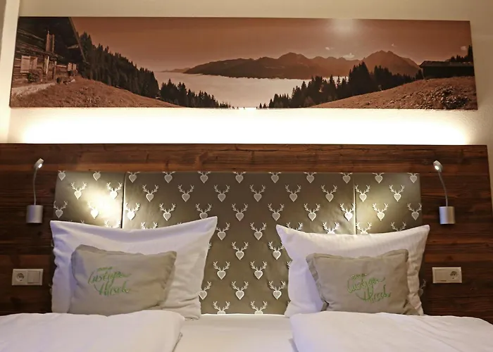 Hotel lustiger Hirsch Akams