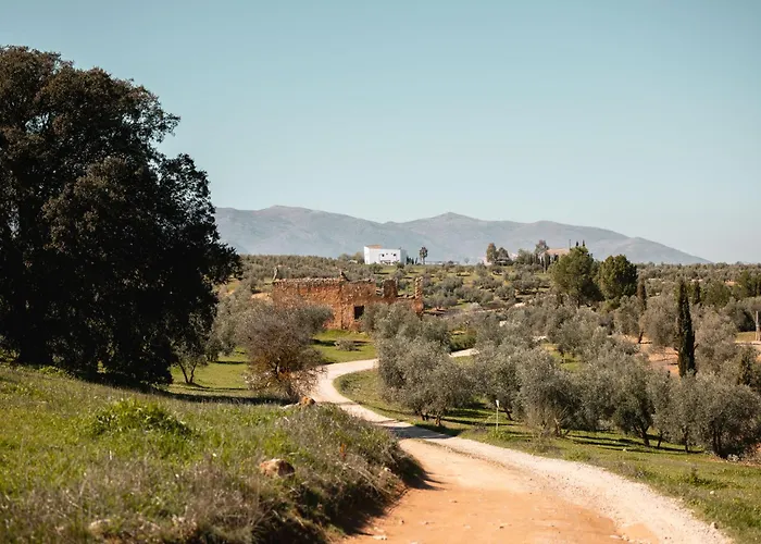 Finca las Calmas boutique hotel&retreats