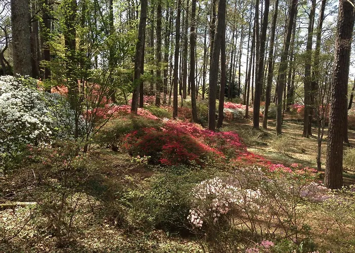 Callaway Resort & Gardens Pine Mountain 